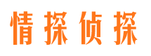 水富市婚外情调查